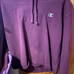 Champion Men's Deep Purple Hoodie